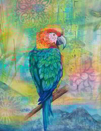 Image 13 of Guardian of the Jungle