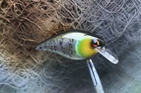 Image 2 of Custom Airbrushed 1.5 Squarebill Crankbait 6675