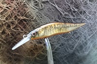 Image 1 of Custom Airbrushed Jerkbait TA 110JR+ 3458