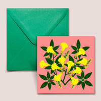 Image 1 of IPE-AMARELO