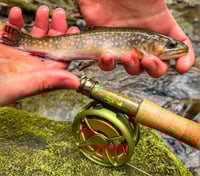 Image 8 of Mr. Ant’s Rods X Fleeger’s Flies - The Brookie Basher Fly Rod