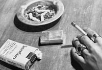 Image 3 of NOBUYOSHI ARAKI - SEVEN STAR BOOK