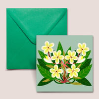 Image 1 of Plumeria Rubra