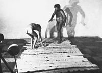 Image 2 of IL CORPO COME LINGUAGGIO (LA “BODY-ART” E STORIE SIMILI) — LEA VERGINE