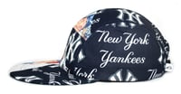 Image 3 of Yankees Split