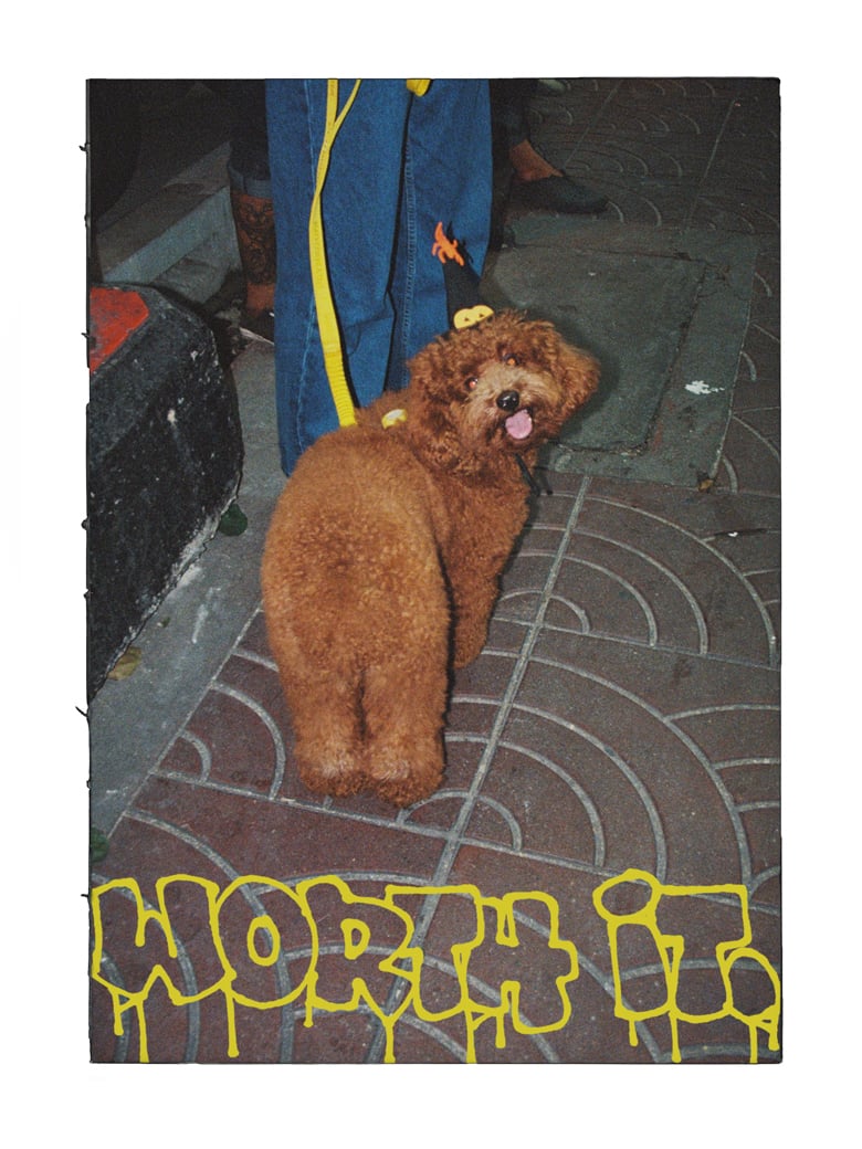 [PREORDER] WORTH IT BOOK