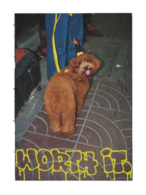 [PREORDER] WORTH IT BOOK