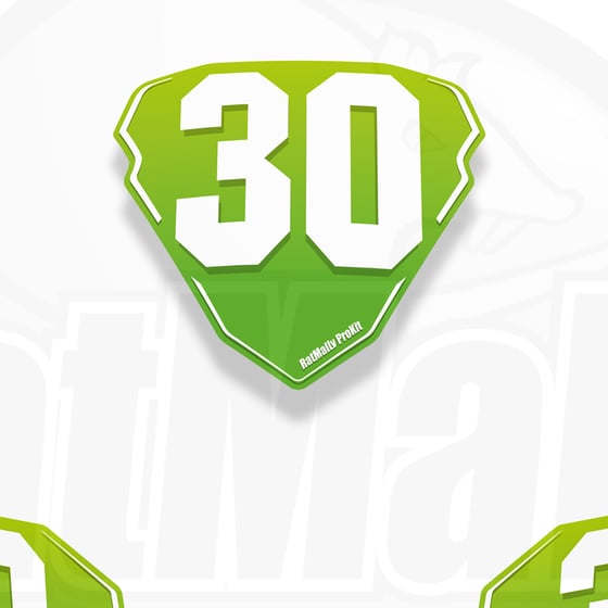 Image of Race Number Boards. To fit Kawasaki Ninja 300