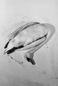 Image 5 of HIGH LONESOME: THE MAX SNOW PURPLE BOOK