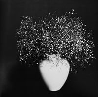 Image 2 of ROBERT MAPPLETHORPE – GALERIE JURKA