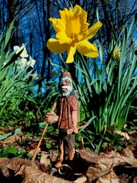 Image 1 of Chestnut Charlie