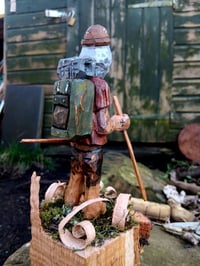 Image 5 of Chestnut Charlie