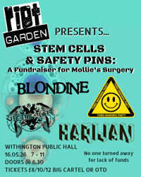 RIOT GARDEN Presents!!! STEM CELLS & SAFETY PINS: A Fundraiser for Mollie's Surgery