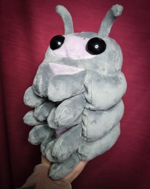 Pudgy Pill Bug!!