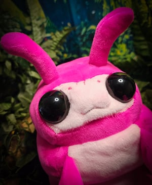 Pudgy Pink Pill Bug!