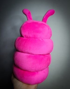 Pudgy Pink Pill Bug!