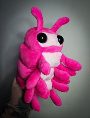 Pudgy Pink Pill Bug!