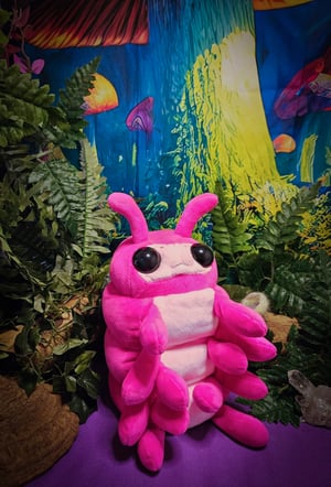 Pudgy Pink Pill Bug!