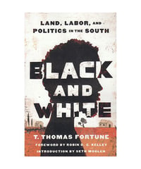 Black and White: Land, Labor, and Politics in the South