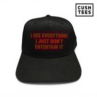 I see everything. I just don't entertain it. (Snapback).