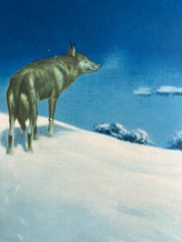 Image 3 of Lone Wolf Framed Print