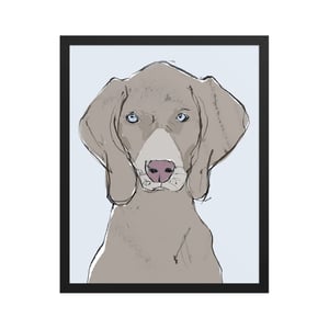 Image of WEIMARANER