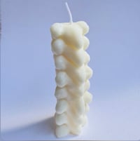 SPINAL COLUMN