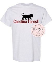 Carolina Forest Panther cub