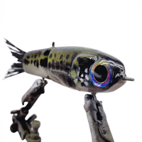 Image 2 of Sliver Glide (LMB)