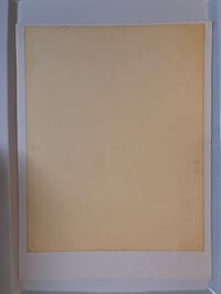 Image 2 of 1982 Spider Webb production flash sheet dragon/tiger 11x14