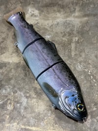 Immortal Trout 11.0 “Dark Shasta Trout”