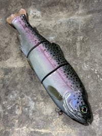 Immortal Trout 11.0 “Trout”