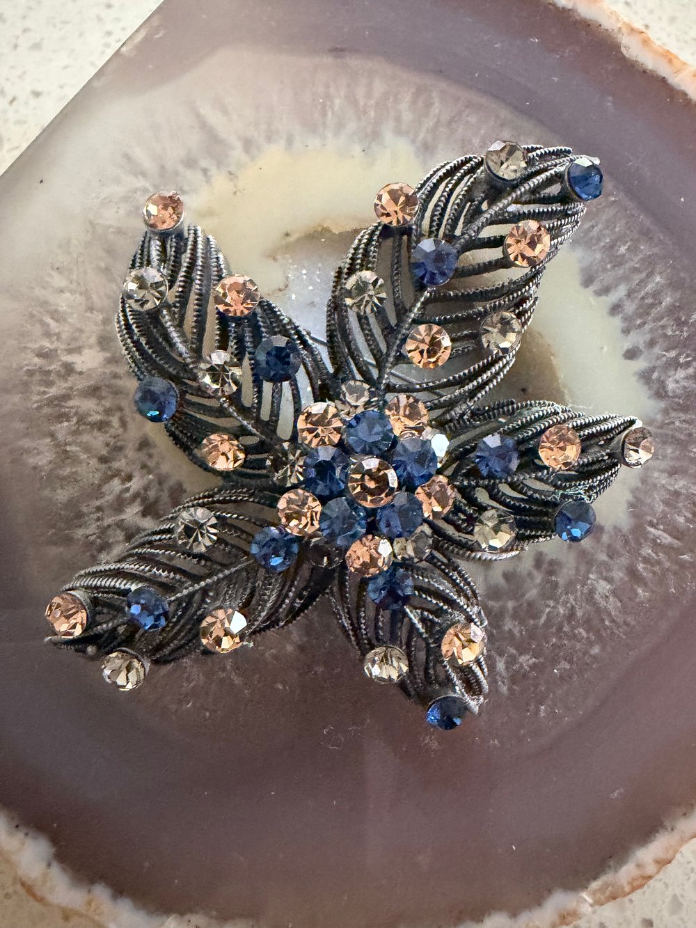 Image of Autumn Envy