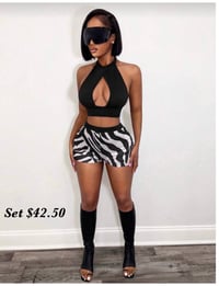 Zebra set