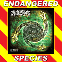 ALGEBRA - Polymorph / Procreation CD