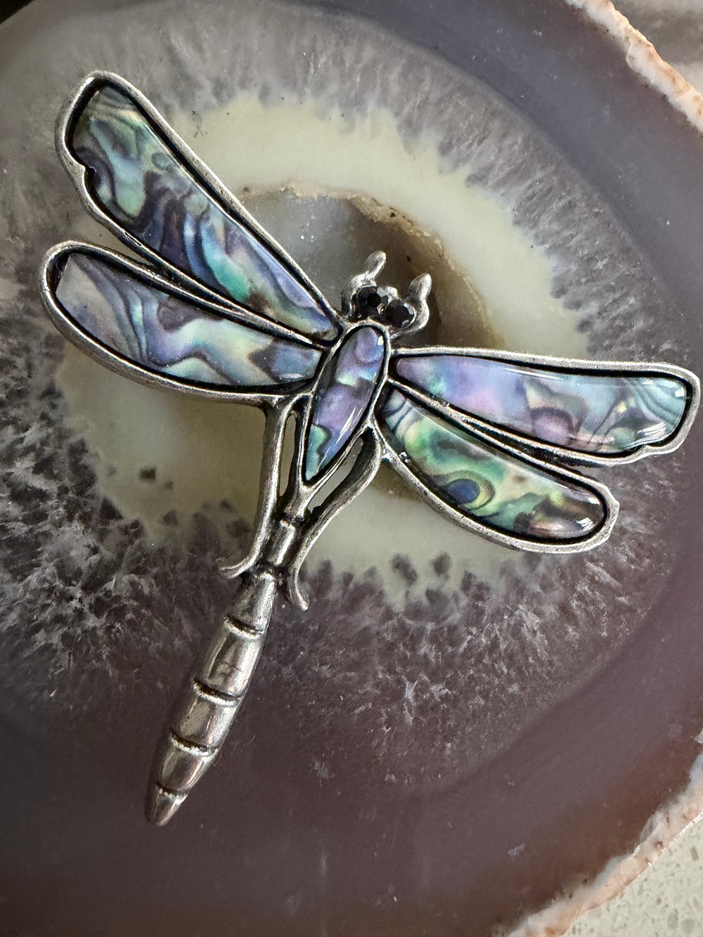 Image of Dragon Fly