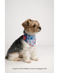 Image 2 of BANDANA | Apple Pie