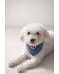 Image 1 of BANDANA | Picnic Heart