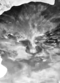 MONOGURUI y-shirt(hooded): (DVOUR)