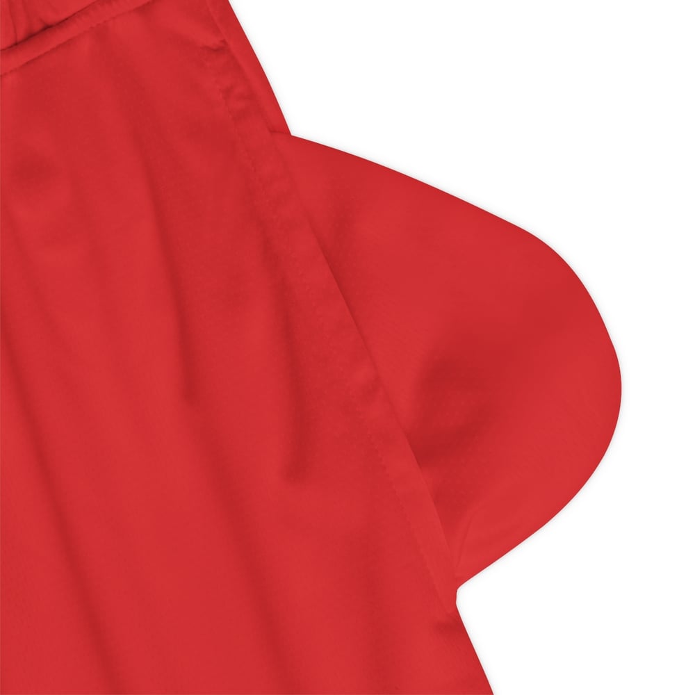 Image of Handsome & Wealthy Red Basketball Shorts