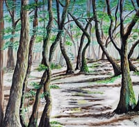 Image 2 of Netherton Woodlands Print
