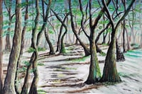 Image 1 of Netherton Woodlands Print
