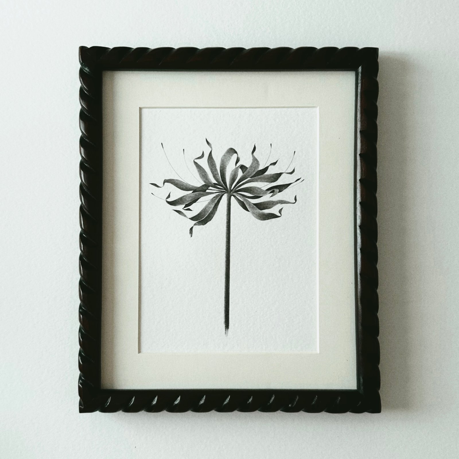 LYCORIS RADIATA VI | JEUNLUNG