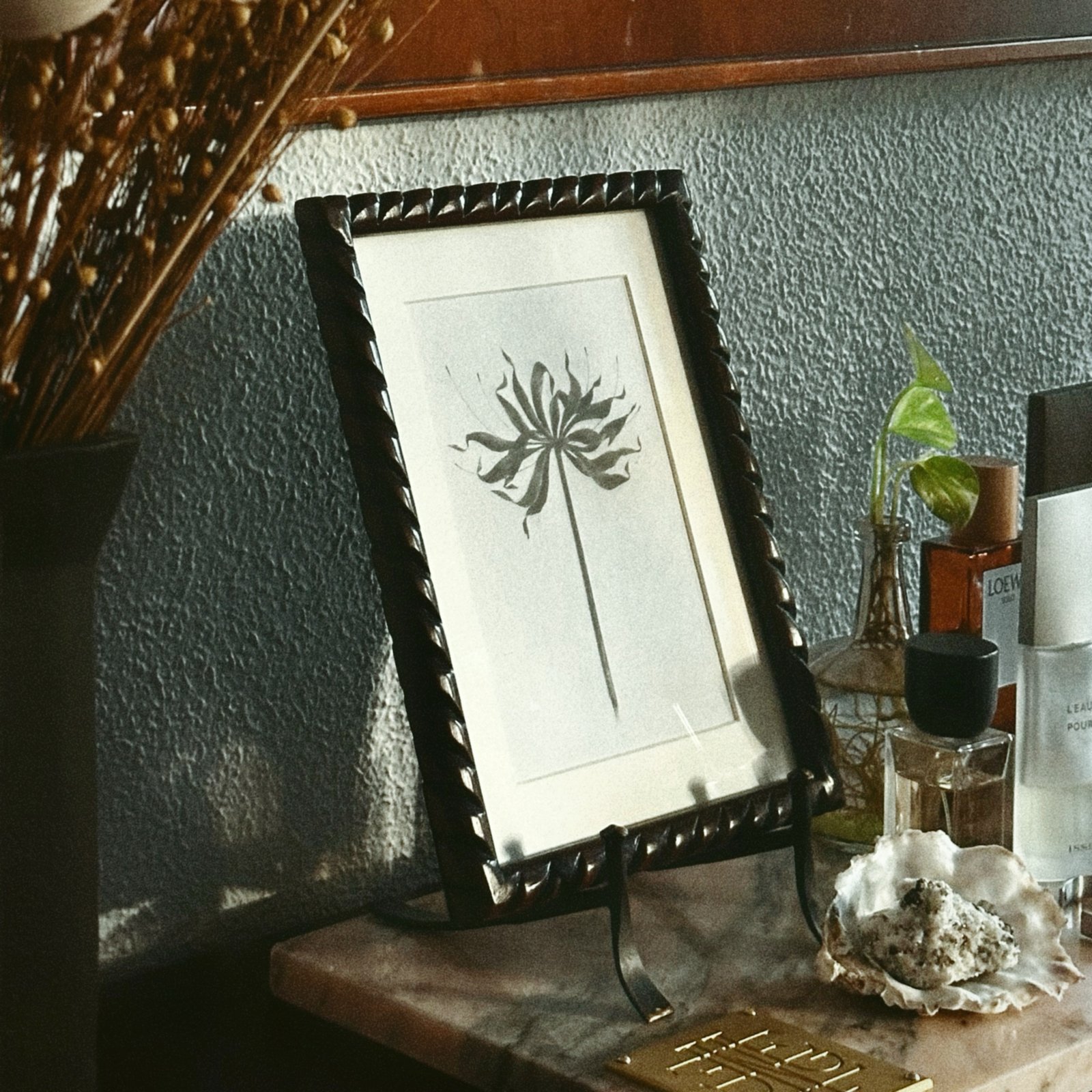 LYCORIS RADIATA VI | JEUNLUNG