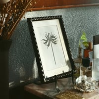 Image 5 of LYCORIS RADIATA VI