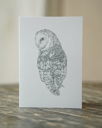 Barn Owl Greetings Card