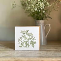 Image 2 of COW PARSLEY CARD