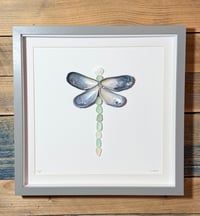 Seaglass and mussel shell dragonfly