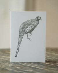 Pheasant Greetings Card