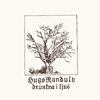 Hugo Randulv - Drunkna I Ljus LP (Discreet Music)